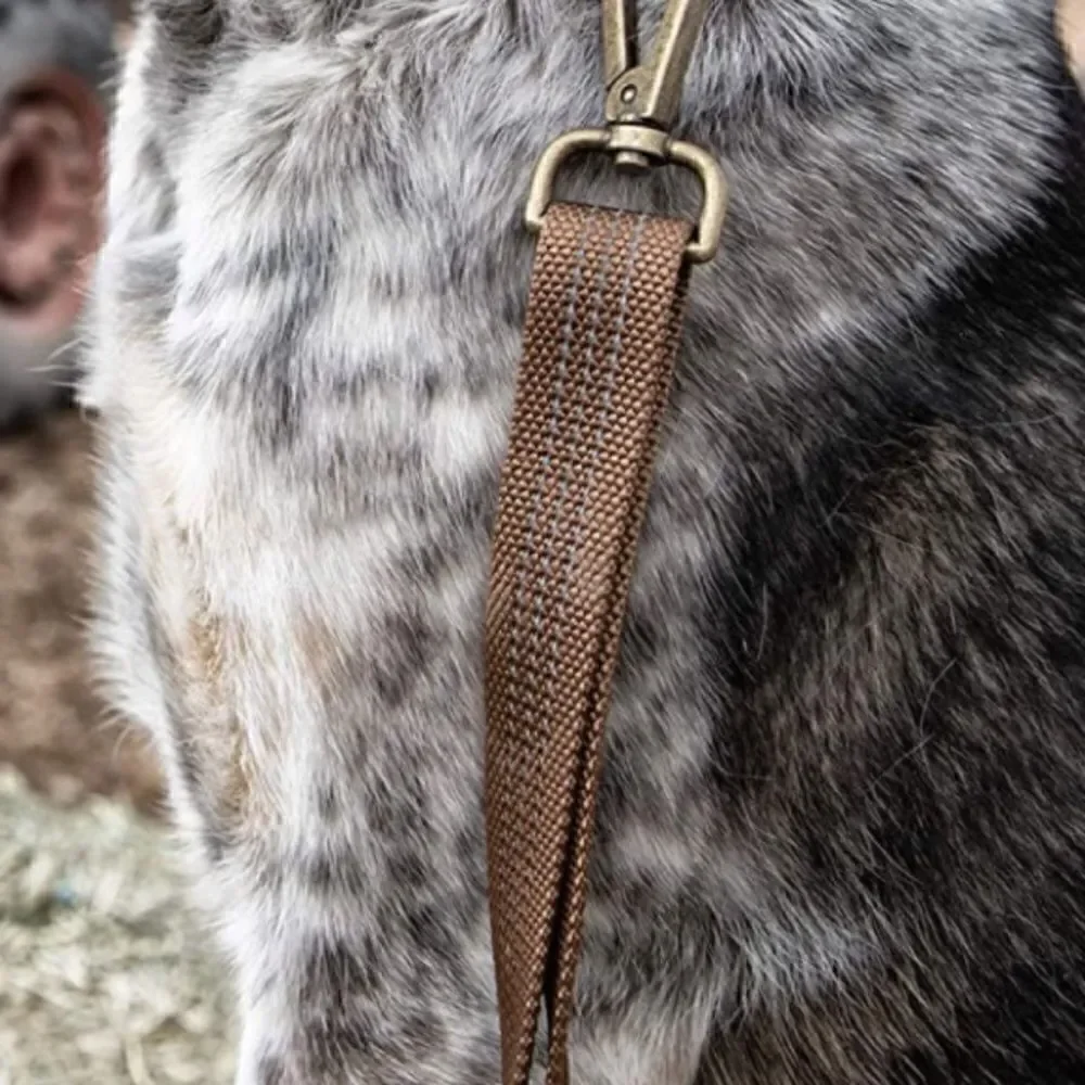 Tan Carhartt Dog Leash